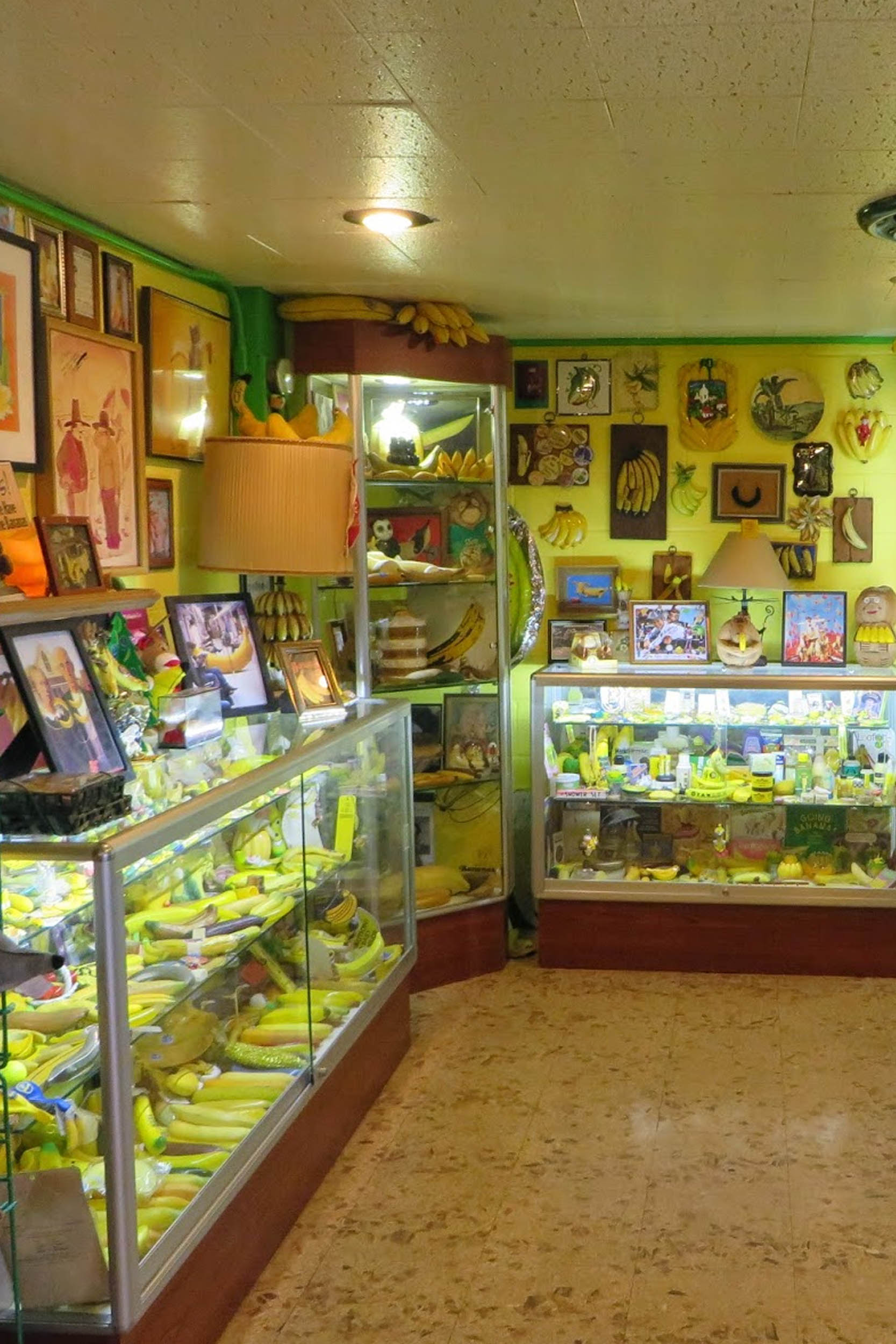 banana museum